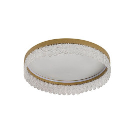 Потолочный светодиодный светильник Favourite Lunetta 4186-1C