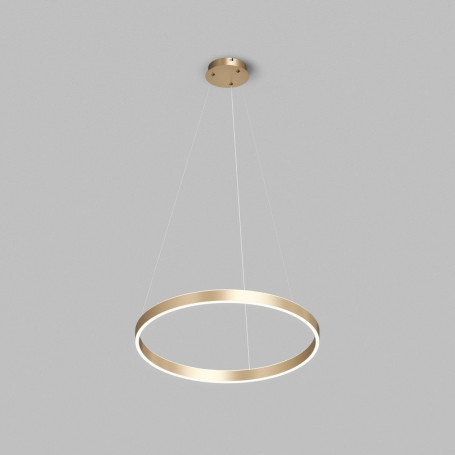 Подвесной светодиодный светильник Denkirs Raydia DK6273-SG