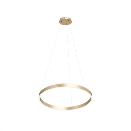 Подвесной светодиодный светильник Denkirs Raydia DK6273-SG