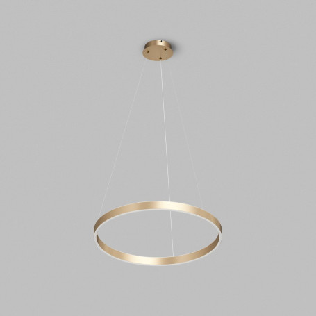 Подвесной светодиодный светильник Denkirs Raydia DK6273-SG