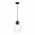 Подвесной светильник Odeon Light Blacky 5023/1