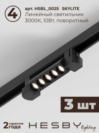 Встраиваемая однофазная трековая система Hesby Lighting Skylite №9 со светильниками HSBL_kompl_S009_VI2B3K