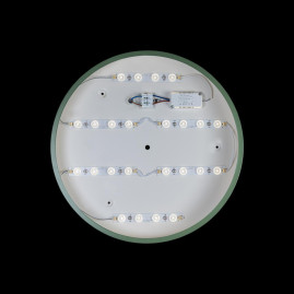 Потолочный светодиодный светильник Loft IT Axel 10002/24 green