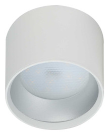 Накладной светильник ЭРА OL8 GX53 WH/SL Б0048537