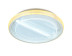 Потолочный светодиодный светильник Ambrella light Original FA602