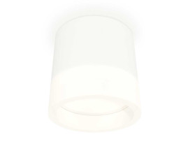 Комплект накладного светильника Ambrella light Techno Spot XS (C8110, N8401) XS8110001