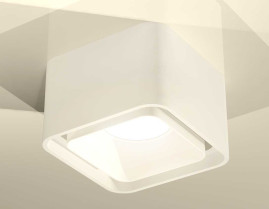 Комплект накладного светильника Ambrella light XS7832021 (C7832, N7755)