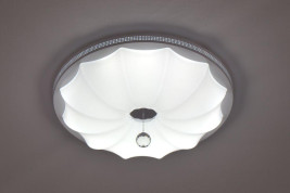 Потолочный светодиодный светильник Escada 10231/S LED
