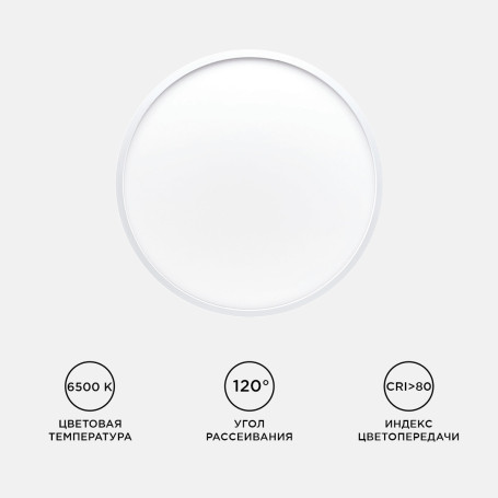 Настенно-потолочный светодиодный светильник Apeyron Spin 18-131