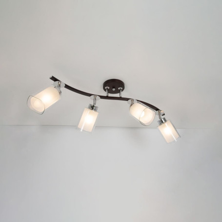 Спот Citilux Фортуна CL156142