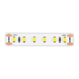Светодиодная лента ST Luce ST1001.414.20