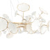 Подвесная люстра Crystal Lux Margo SP9R