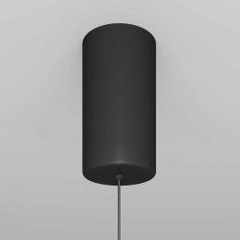 Подвесной светильник Maytoni Ray P022PL-L10B