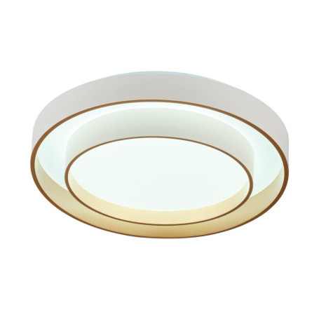 Потолочный светодиодный светильник MyFar Ceiling Rhea MR9161-CL