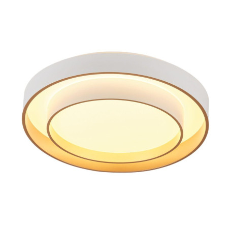 Потолочный светодиодный светильник MyFar Ceiling Rhea MR9161-CL