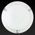 Настенный светильник Toplight Maude TL9161Y-01WH