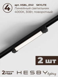 Трековая система со светильниками №1 однофазная накладная Hesby Lighting Skylite HSBL_kompl_S001_NI2B4K