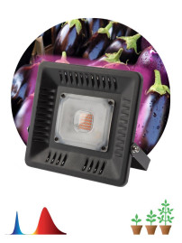 Прожектор светодиодный ЭРА 50W 1370K Fito-50W-Led Б0039033
