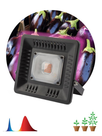 Прожектор светодиодный ЭРА 50W 1370K Fito-50W-Led Б0039033
