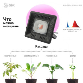Прожектор светодиодный ЭРА 50W 1370K Fito-50W-Led Б0039033