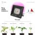 Прожектор светодиодный ЭРА 50W 1370K Fito-50W-Led Б0039033