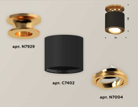 Комплект накладного светильника Ambrella light Techno Spot XS7402100 SBK/PYG черный песок/золото желтое полированное (N7929, C7402, N7004)