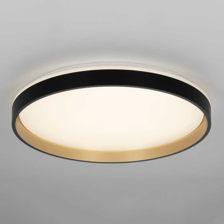 Светильник потолочный Citilux ENZO CL753511G