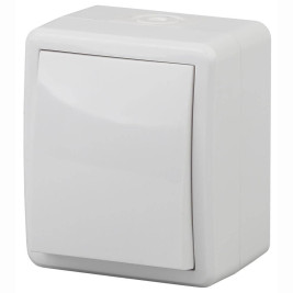Выключатель одноклавишный с подсветкой ЭРА Эксперт 10AX 250V IP54 11-1402-01 Б0020671