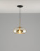 Светильник подвесной Moderli Laura V11529-1P