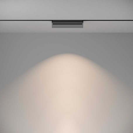 Трековый светодиодный светильник Maytoni Technical Basis Rot TR075-2-20W4K-B