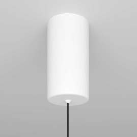 Подвесной светильник Maytoni Ray P022PL-L10W