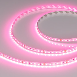 Светодиодная лента Arlight RT-A120-8mm 24V Pink 043380