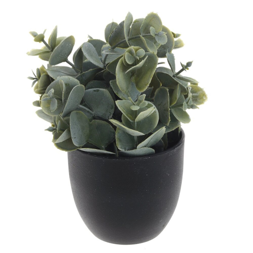 Цветочная композиция, L8 W8 H14 см