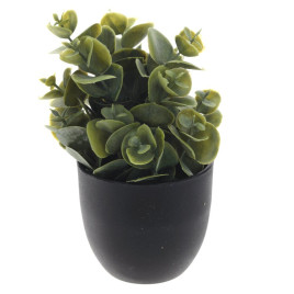 Цветочная композиция, L8 W8 H14 см