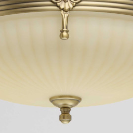 Потолочный светильник MW-Light Афродита 317011504