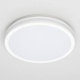 Настенно-потолочный светодиодный светильник Citilux Luns CL711020V