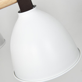 Потолочная люстра Imperium Loft Flan 101588-26