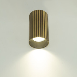 Потолочный светильник Citilux Axel CL512113R