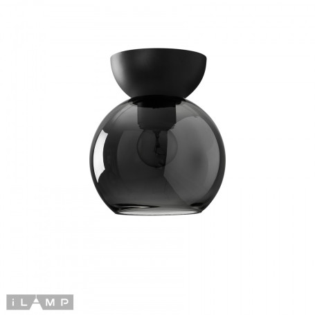 Потолочный светильник iLamp Mono C6079-1 BK+SM