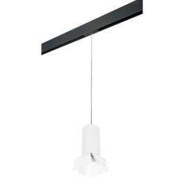 Комплект с трековым светильником Lightstar Rullo (216486+595887+202486) PRORP6486486