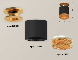 Комплект накладного светильника Ambrella light Techno Spot XS7402103 SBK/PYG/CF черный песок/золото желтое полированное/кофе (N7929, C7402, N7195)