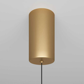 Подвесной светильник Maytoni Ray P022PL-L20G3K