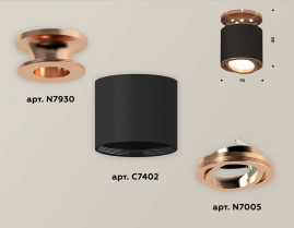 Комплект накладного светильника Ambrella light Techno Spot XS7402120 SBK/PPG черный песок/золото розовое полированное (N7930, C7402, N7005)