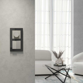 Выключатель двухклавишный (дымчатый) W1220004/ a069452