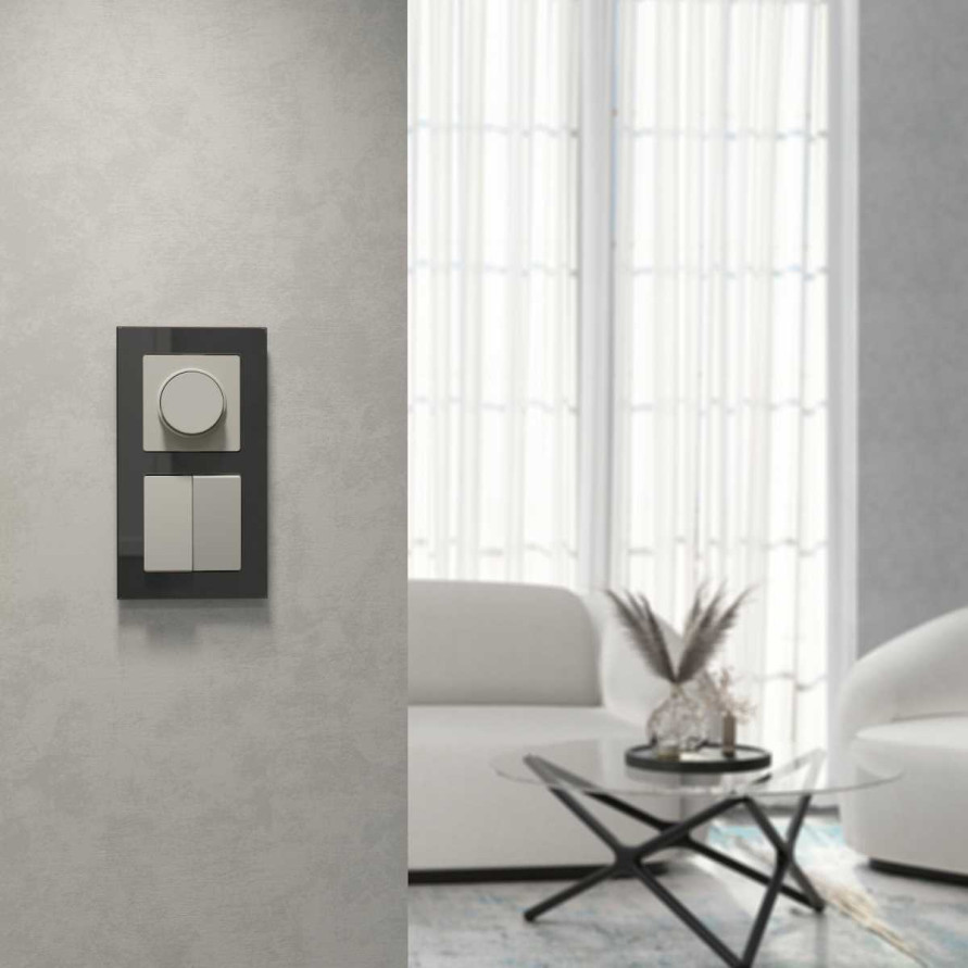 Выключатель двухклавишный (дымчатый) W1220004/ a069452