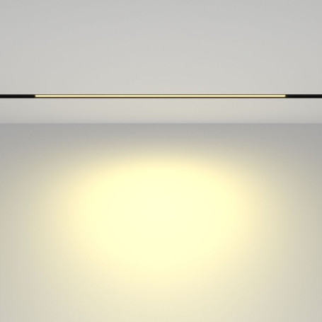 Трековый светодиодный светильник Maytoni Technical Basis TR030-2-24W2.7K-B