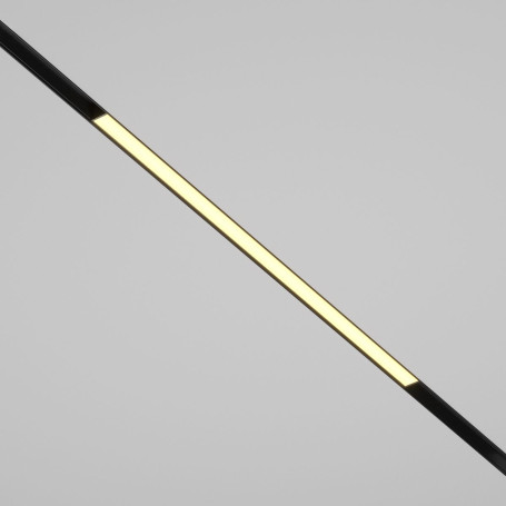 Трековый светодиодный светильник Maytoni Technical Basis TR030-2-24W2.7K-B