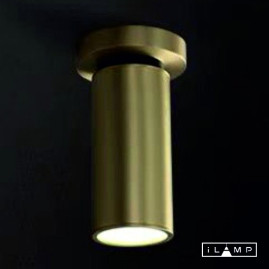 Спот iLamp Plum 8861C BR-BK