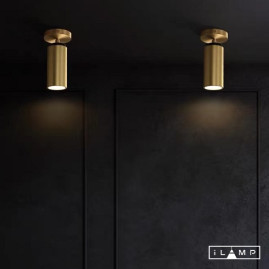 Спот iLamp Plum 8861C BR-BK