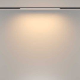 Трековый светильник Maytoni Technical TR173-1-16WTW-B